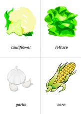 flashcard - vegetables 03.pdf